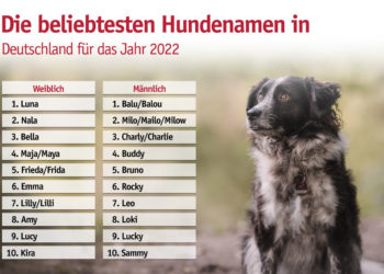 Luna und Balu lassen sich nicht vom Thron stoßen