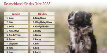Luna und Balu lassen sich nicht vom Thron stoßen