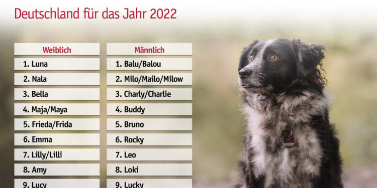 Luna und Balu lassen sich nicht vom Thron stoßen