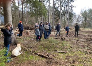 Der Wald muss klimastabil werden
