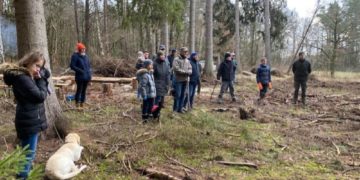 Der Wald muss klimastabil werden