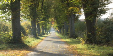 Salem: Bürgerbegehren gegen Neubaugebiet am Dorotheenhofer Weg gestartet