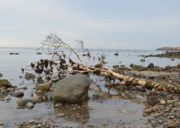 Steinalte Schätze bei steifer Brise