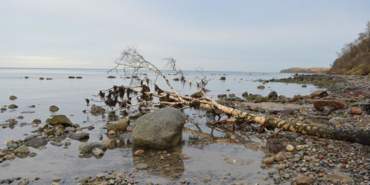 Steinalte Schätze bei steifer Brise