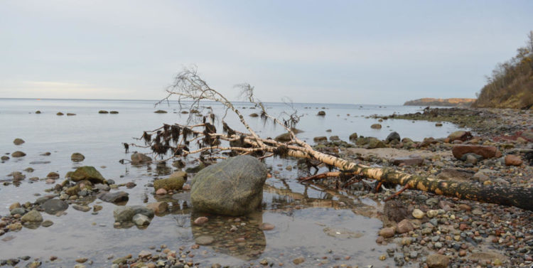 Steinalte Schätze bei steifer Brise