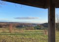Büsche ziehen im Vogelparadies Lankower Seeufer