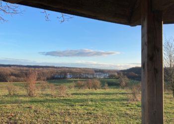 Büsche ziehen im Vogelparadies Lankower Seeufer