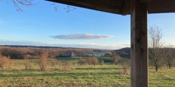 Büsche ziehen im Vogelparadies Lankower Seeufer