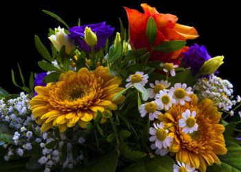 Andrea Sahin feiert 25-jähriges Dienstjubiläum beim Kreis