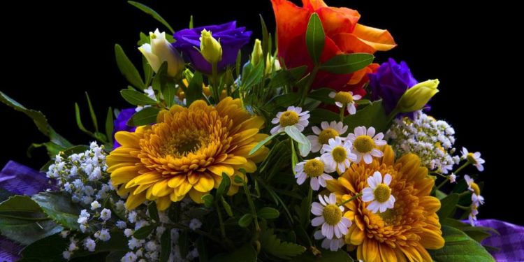 Andrea Sahin feiert 25-jähriges Dienstjubiläum beim Kreis