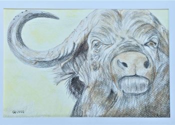 Ausstellung des Ratzeburger Künstlers Roman Goryczka im Kreishaus