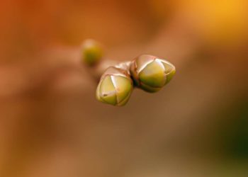 Naturpark-Werkstatt und Moor-Erlebnis