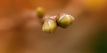Naturpark-Werkstatt und Moor-Erlebnis