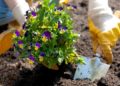 Start der Gartensaison im Herzogtum Lauenburg