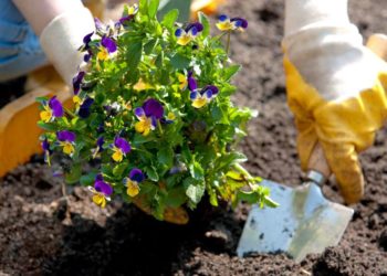 Start der Gartensaison im Herzogtum Lauenburg