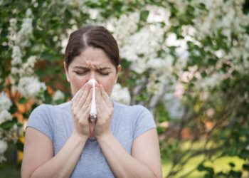 Jetzt beginnt die Pollensaison im Herzogtum Lauenburg