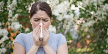 Jetzt beginnt die Pollensaison im Herzogtum Lauenburg