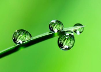 Kommunalwahlen 2023 – Grünes Team für Börnsen steht