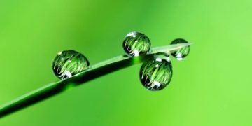 Kommunalwahlen 2023 – Grünes Team für Börnsen steht