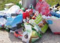 Erfolgreicher „Frühjahrsputz“ im Möllner Stadtgebiet