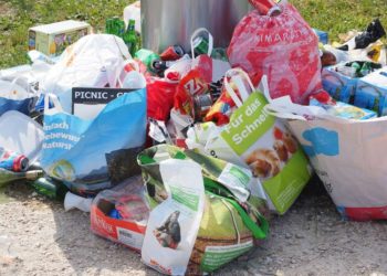 Erfolgreicher „Frühjahrsputz“ im Möllner Stadtgebiet