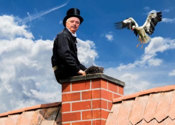 Kehrbezirk Güster erhält vorübergehende Vertretungsregelung