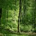 Ideen für den Natur- und Umweltschutz gesucht