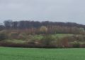 Naturschutzprojekte beim Zweckverband Schaalsee-Landschaft