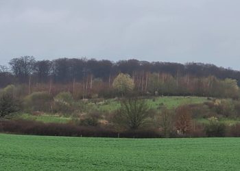 Naturschutzprojekte beim Zweckverband Schaalsee-Landschaft