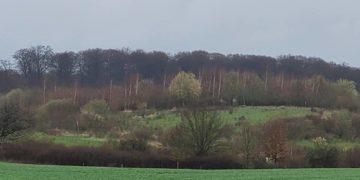 Naturschutzprojekte beim Zweckverband Schaalsee-Landschaft