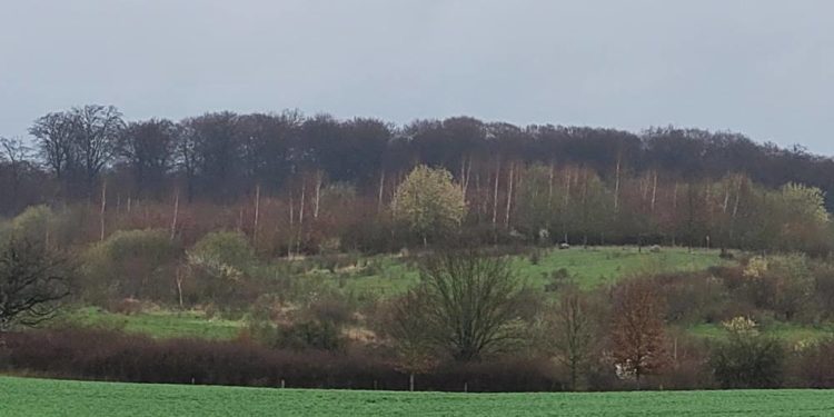 Naturschutzprojekte beim Zweckverband Schaalsee-Landschaft