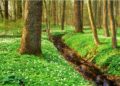 Erleben, entdecken, entspannen – Naturparktouren im April