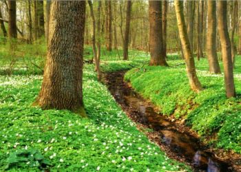 Erleben, entdecken, entspannen – Naturparktouren im April