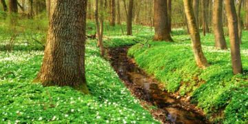 Erleben, entdecken, entspannen – Naturparktouren im April