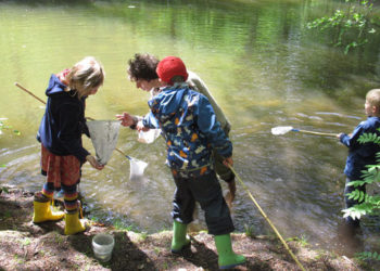 11. Bachforschertag mit dem NABU