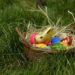 Der Osterhase kommt in den Uhlenkolk