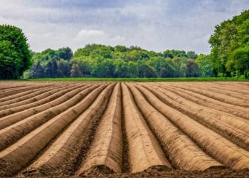 Saisonarbeiter haben schlechteren Schutz vor Krankheit