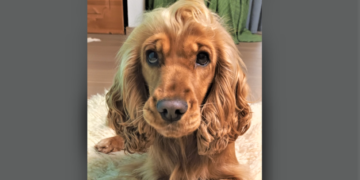 Familienzentrum jetzt mit tierischer Fachkraft