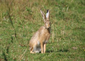 Frohe Ostern mit dem „Foto der Woche“