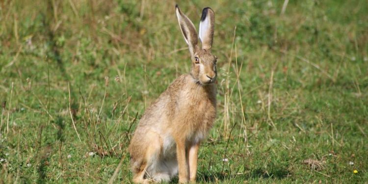 Frohe Ostern mit dem „Foto der Woche“