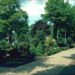 Führung auf Plattdeutsch über den alten Friedhof