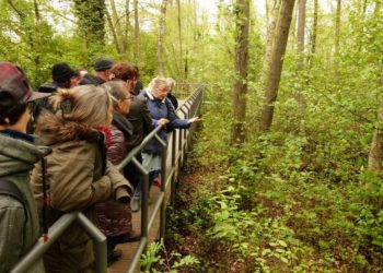 Führung „Wie wir der Natur helfen können. Artenvielfalt – wie geht das?”