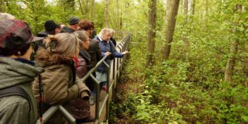 Führung „Wie wir der Natur helfen können. Artenvielfalt – wie geht das?”