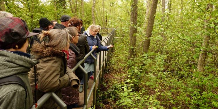 Führung „Wie wir der Natur helfen können. Artenvielfalt – wie geht das?”