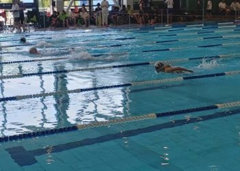 Norddeutsche Meisterschaften im schwimmerischen Mehrkampf