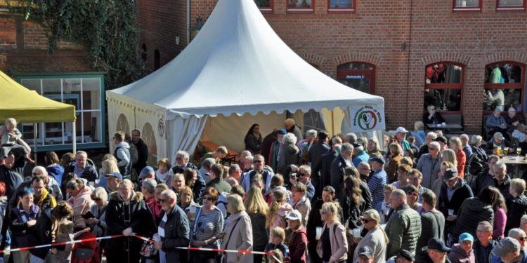 Narrentaufe 2023 der Eulenspiegelgilde