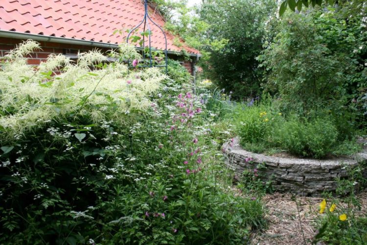 „Offener Garten“ in Breitenfelde