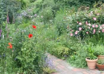 „Offener Garten“ in Breitenfelde