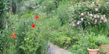 „Offener Garten“ in Breitenfelde