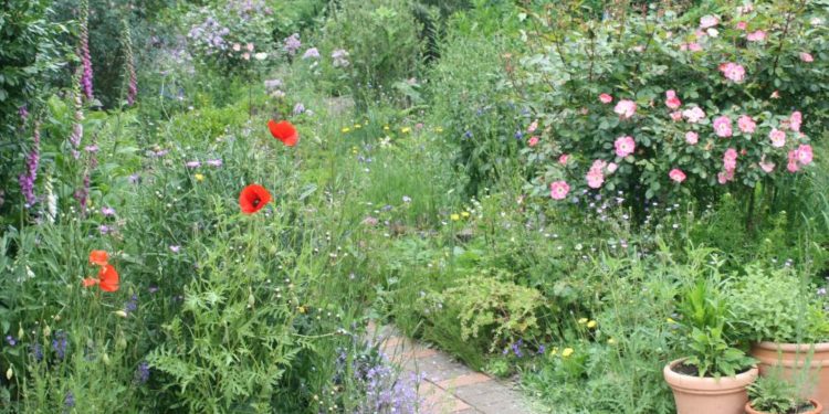 „Offener Garten“ in Breitenfelde